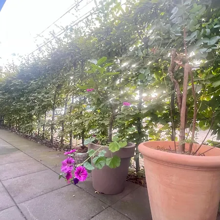 Dimoro Family - Designed For Your Comfort Lejlighed *