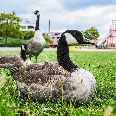 شقة Dimoro Family - Designed For Your Comfort إسن