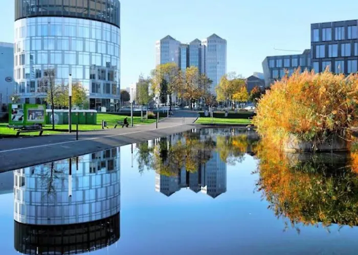 Dimoro Family - Designed For Your Comfort *