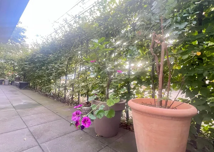 Dimoro Family - Designed For Your Comfort Lejlighed *