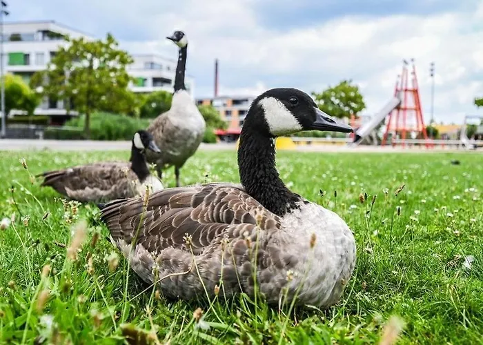 شقة Dimoro Family - Designed For Your Comfort إسن